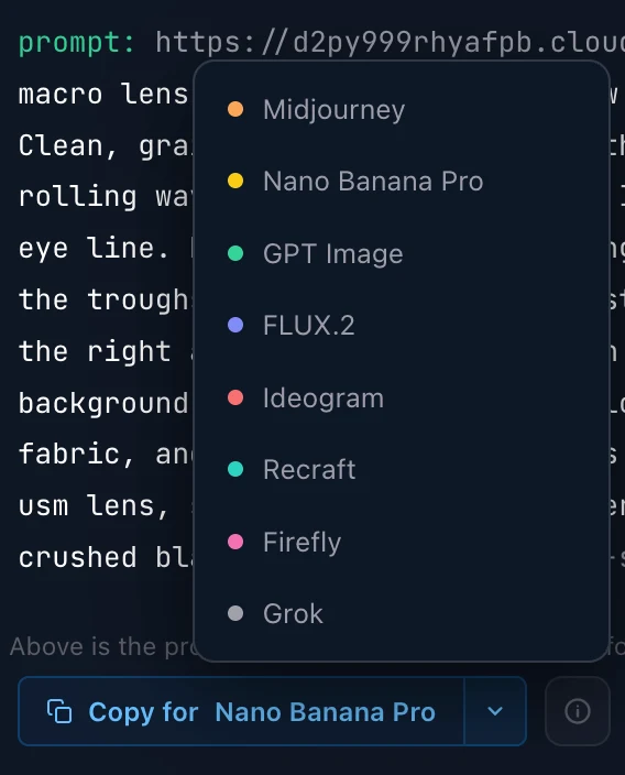 The Copy control with its destination list open, showing the image targets